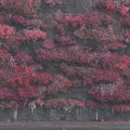 0606b2df-806b-4be8-9b3b-6208ee17152e