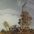 People Of The North - Steep Formations Best Coast Music
