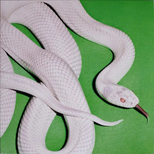 Deftones - Private Music Best Coast Music