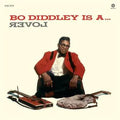 Bo Diddley - Is A Lover Best Coast Music