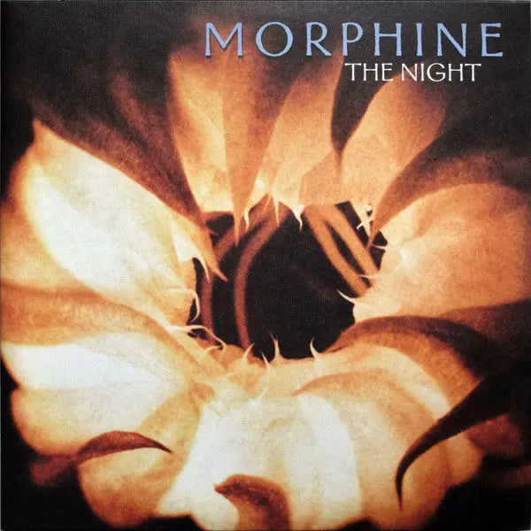 Morphine - The Night Best Coast Music