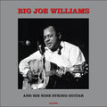 Big Joe Williams - Big Joe Williams And His Nine String Guitar Best Coast Music