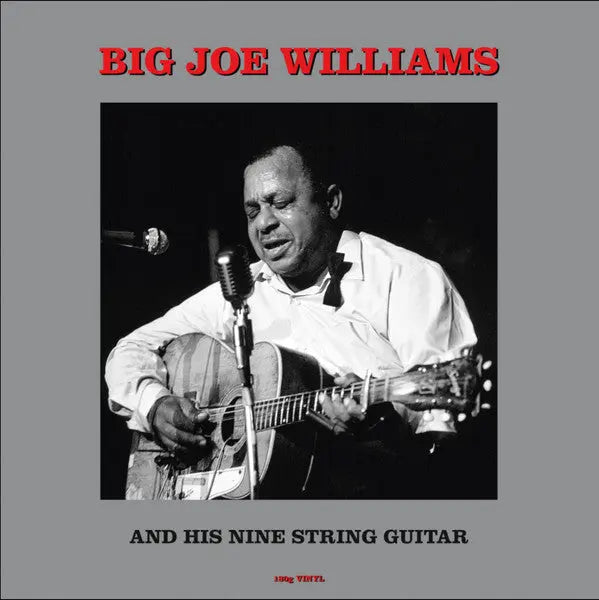 Big Joe Williams - Big Joe Williams And His Nine String Guitar Best Coast Music