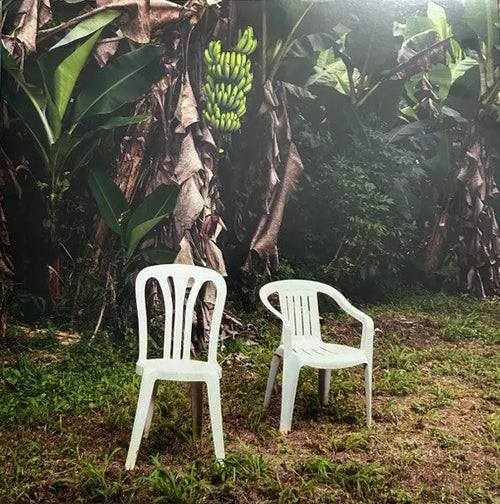 Bad Bunny - Debí Tirar Más Fotos [White] Best Coast Music