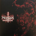 Marduk - Strigzscara - Warwolf Best Coast Music